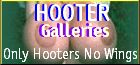 Hooter Galleries