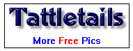 Tattletails