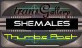 Trans Gallery