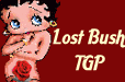 LOSTBUSH GALLERY POST